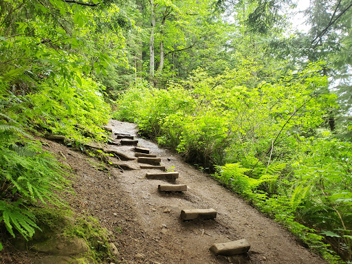 Cal Magnuson Trail - Thumbnail