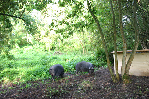 Photo 1 - La Ferme de Cambes
