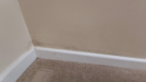 Kelly's Cleaning Services - Visual