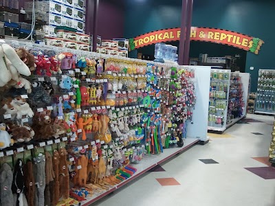 Photos of Petland Prince Albert