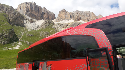 Maga Tour Di Dalla Fontana Gianni & C. (S.N.C.) - Thumbnail