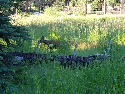 Huckleberry Campground