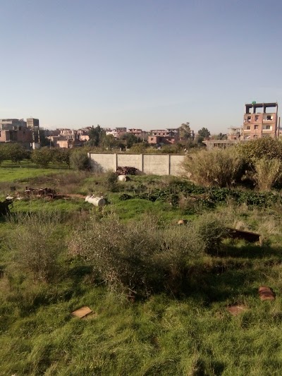 Photos of مسجد السلام حي السعادلية