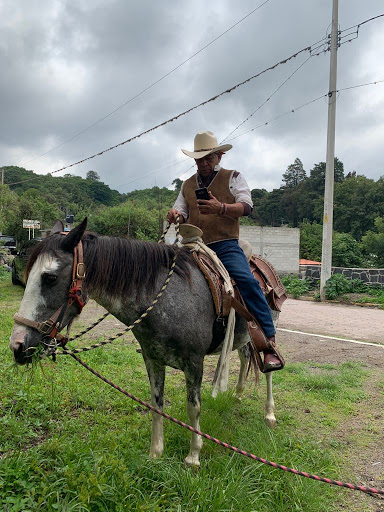 Veterinaria Mi Ranchito