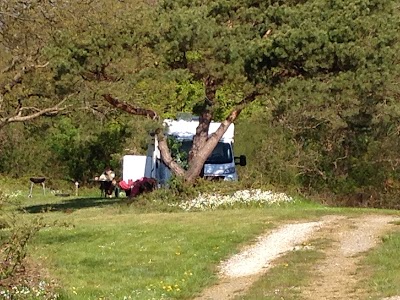 campground