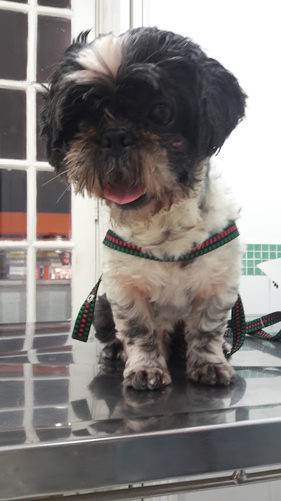 Photos of Vet Care