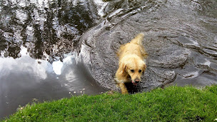 Photo n°3 de A l'orée de bubry à Bubry (Chenil)