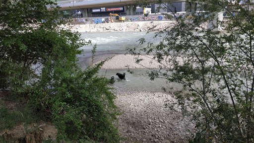 Hundepark Eisackufer - Thumbnail