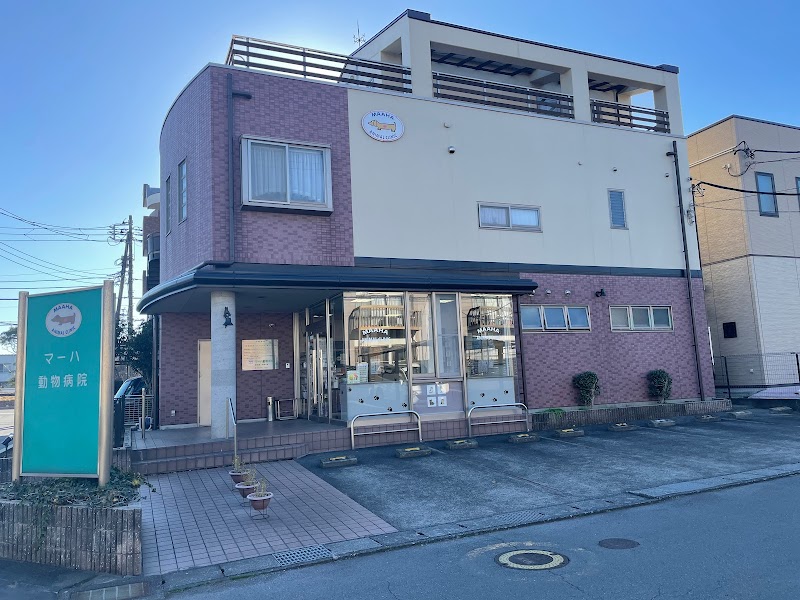 マーハ動物病院
