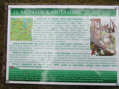 Photos of Peraj&auml;rve metsarada