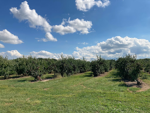 Becker Farms | Vizcarra Vineyards & Becker Brewing Co. - Thumbnail