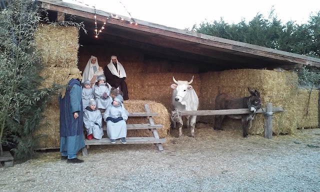 Osteria del Pancotto