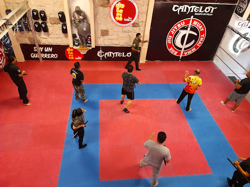 camelot gym - Thumbnail