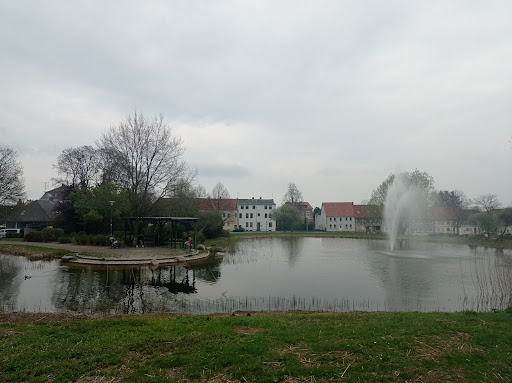 Discgolfanlage Schöninger Schlosspark