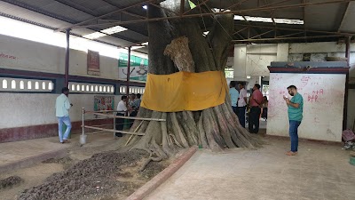 Photos of Dhanush Mandir Dhanushadham