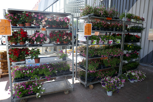 HORNBACH Binzen - Thumbnail