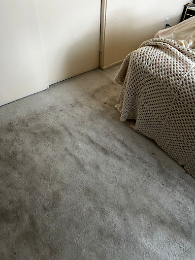 Pristine Carpet & Upholstery Cleaning - Thumbnail