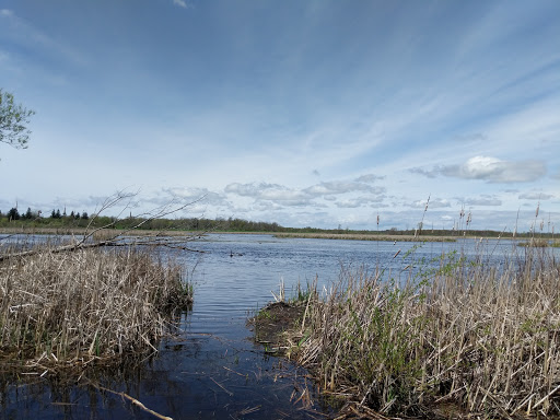 Perch River Wildlife Management Area - Thumbnail