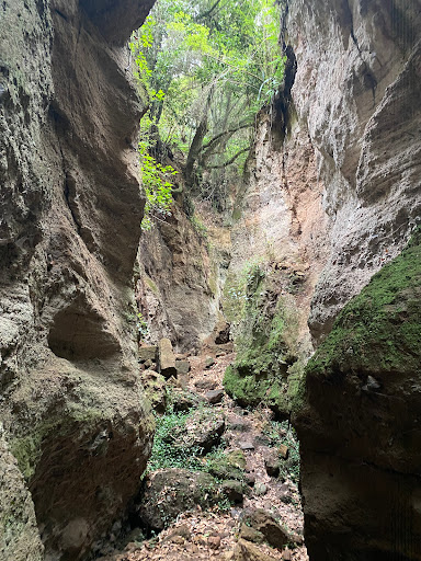 Sendero del Álamo - Thumbnail