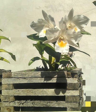 Photos of Abhiram Garden