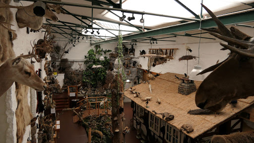 Erlebnismuseum Lernort Natur