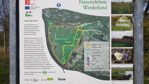 Vogelbeobachtungsplatz Dunger See - Thumbnail