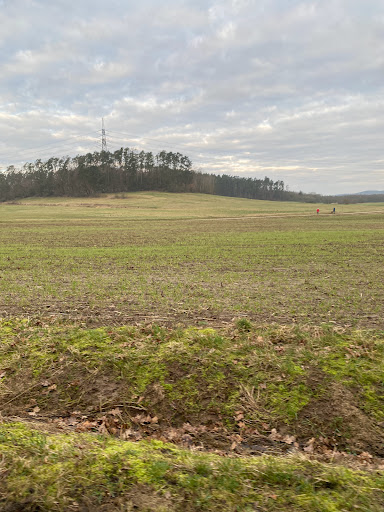 Kaube Ranch - Visual