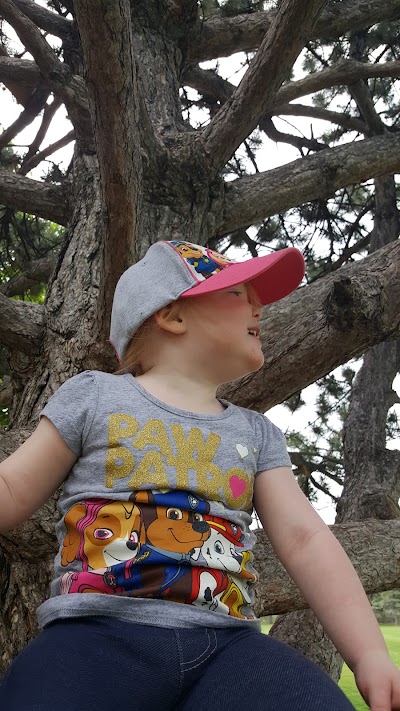 Photos of Big Bear Park