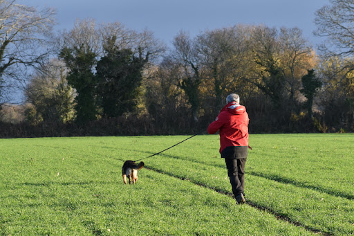 Club Canin de l'Iroise - Thumbnail