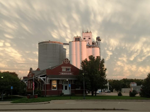 Marion Library - Visual