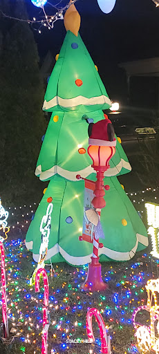 Bottoms family Christmas lights - Thumbnail