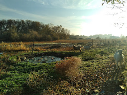 Foto de Windy Hill Farm