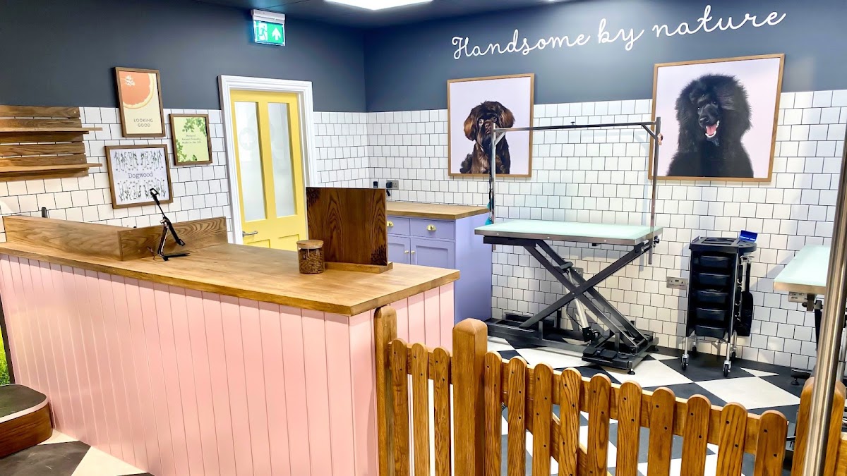 Dogwood Richmond-upon-Thames Pet Grooming Spa store