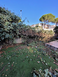 Photo n°31 de Élagueur 34 à Montpellier (Service d'élagage)