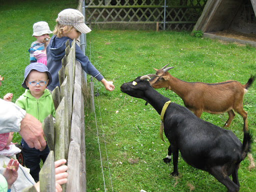Kindertagesstätte Kunterbunt - Thumbnail