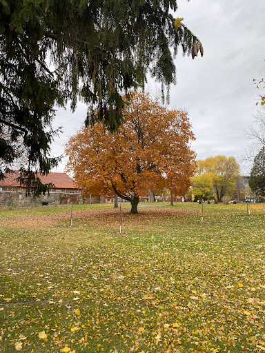 Macdonald College (FMT Program) - Canada