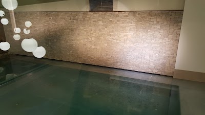 Photos of IMMERSE spa