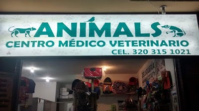 Photos of Animals Centro Medico Veterinario