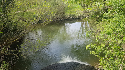 Parc de l'Île de Brunoy - Thumbnail