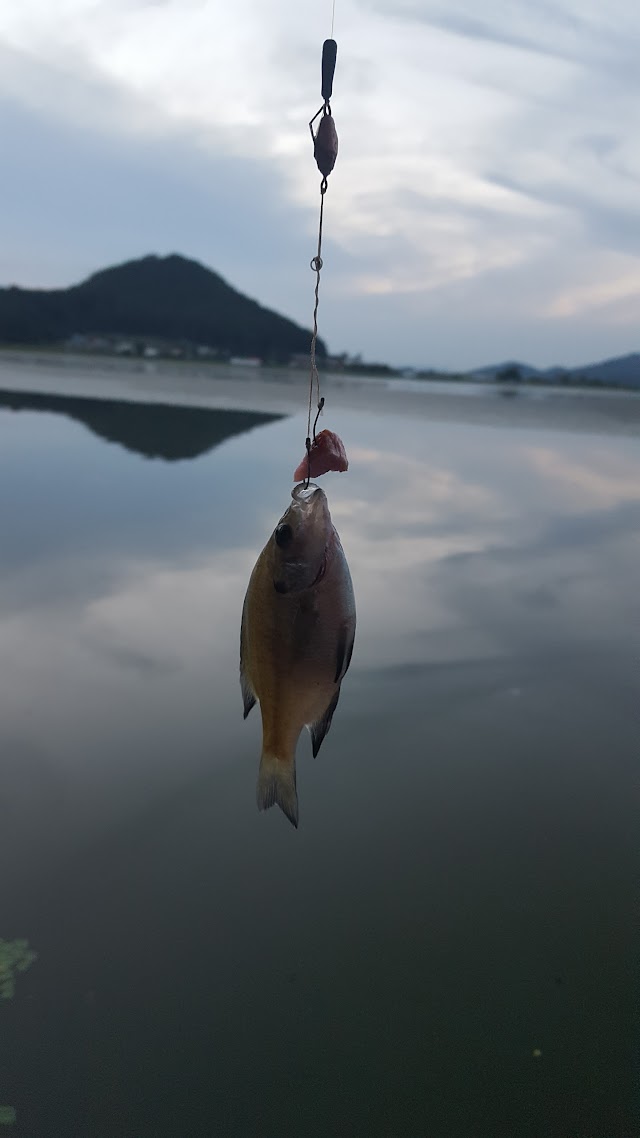 해와달 수상글램핑