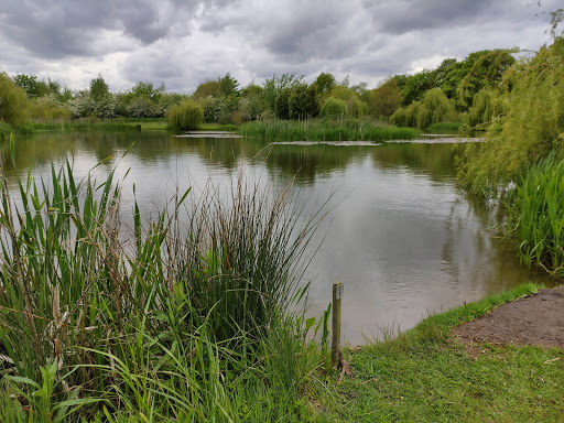 The Park Fishery