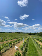 Domaine du Truchasson à Saint-Jean-de-Duras