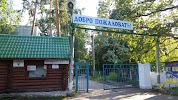 Фотография Звездный, дом 85, Лесопарковое шоссе, Тольятти, Россия