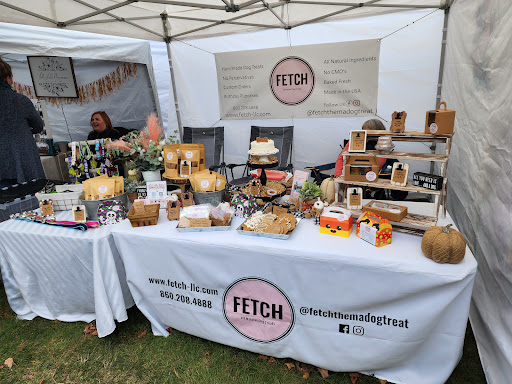Fetch LLC - Visual