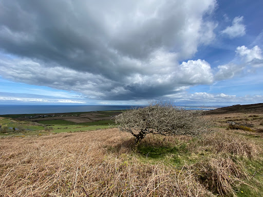 Rosewall Hill Car Park - Thumbnail