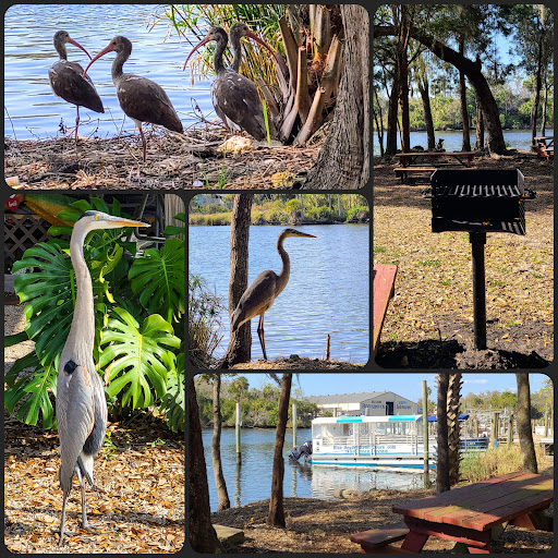 Old Homosassa Heritage Park and Working Waterfront - Thumbnail