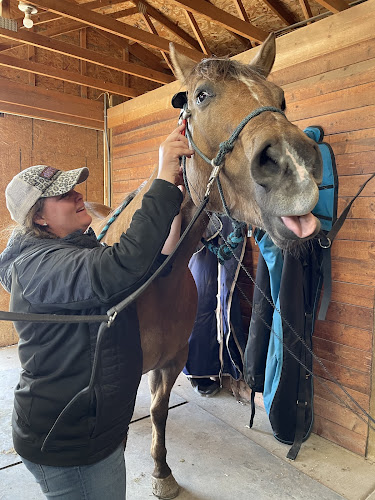 TOPP Equine Services