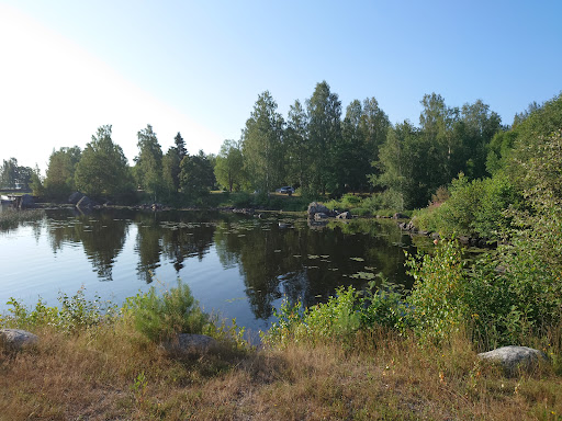 Ljusne sportfiske