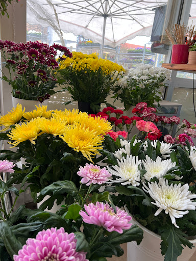 HH Blumen und Pflanzen - Thumbnail