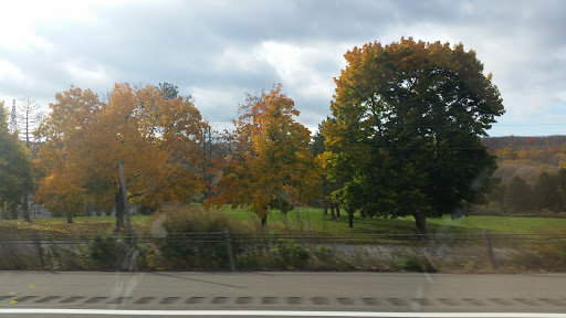Frontage Park - Thumbnail